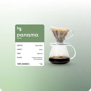 V60 Panama at hy Bakery